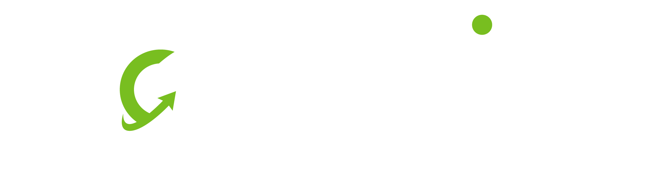 LogistiQ Inverse Logo – Web